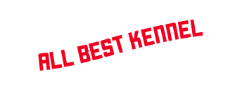 All Best Kennel