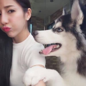 allbestk - ไซบีเรียน ฮัสกี้ (30)