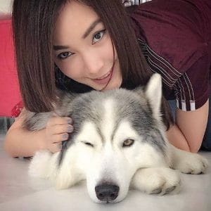 allbestk - ไซบีเรียน ฮัสกี้ (33)