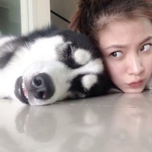 allbestk - ไซบีเรียน ฮัสกี้ (43)