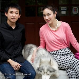 allbestk - ไซบีเรียน ฮัสกี้ (45)