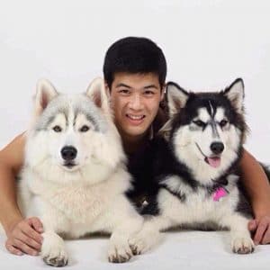 allbestk - ไซบีเรียน ฮัสกี้ (56)