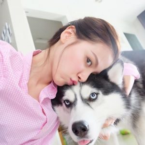 allbestk - ไซบีเรียน ฮัสกี้ (9)