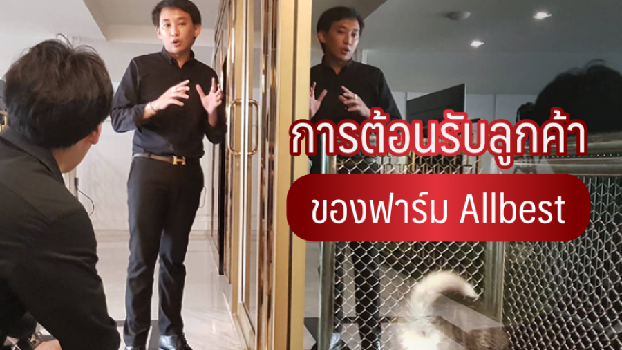 การต้อนรับลูกค้าของฟาร์ม ALL BEST - all best kennel