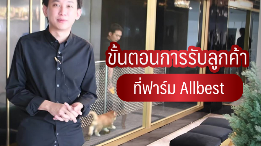 ขั้นตอนการรับลูกค้าที่ฟาร์ม ALL BEST - all best kennel
